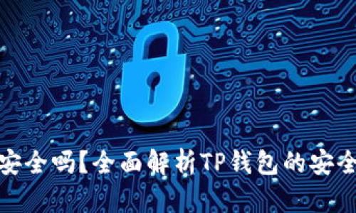 TP钱包安装包安全吗？全面解析TP钱包的安全性与防护措施