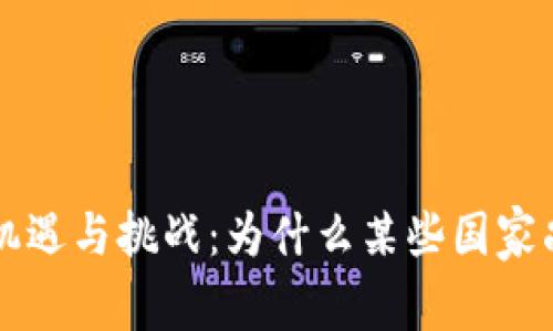 探讨数字货币的机遇与挑战：为什么某些国家尚未发行数字货币