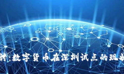 深入探讨：数字货币在深圳试点的现状与未来