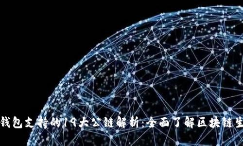 TP钱包支持的19大公链解析：全面了解区块链生态