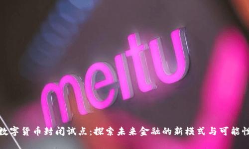 数字货币封闭试点：探索未来金融的新模式与可能性