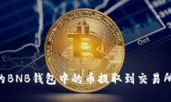 如何将TP的BNB钱包中的币提取到交易所：完整指南