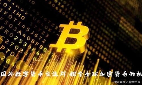 加入优质国外数字货币交流群：探索全球加密货币的机遇与挑战