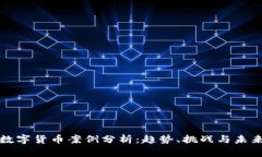印度数字货币案例分析：趋势、挑战与未来机会