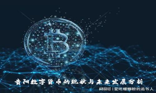 贵阳数字货币的现状与未来发展分析