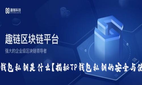 TP钱包私钥是什么？揭秘TP钱包私钥的安全与使用