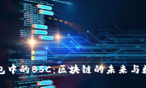深入解读TP钱包中的BSC：区块链的未来与数字资产的机遇