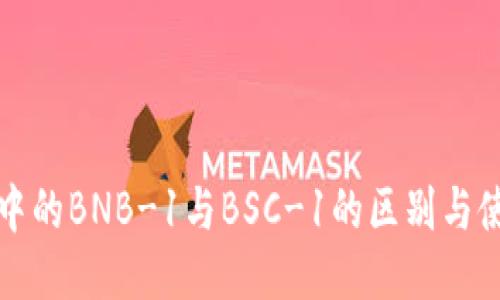 TP钱包中的BNB-1与BSC-1的区别与使用指南