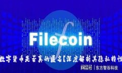 数字货币是否真的匿名？深度解析其隐私特性