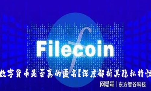 数字货币是否真的匿名？深度解析其隐私特性