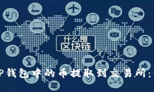如何将TP钱包中的币提取到交易所：详细指南