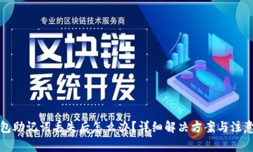 TP钱包助记词丢失后怎么办？详细解决方案与注意事项