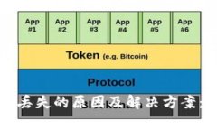 TP钱包币丢失的原因及解决方案：全面解析