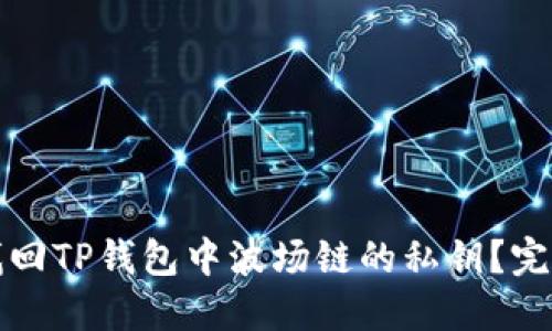 如何找回TP钱包中波场链的私钥？完整指南