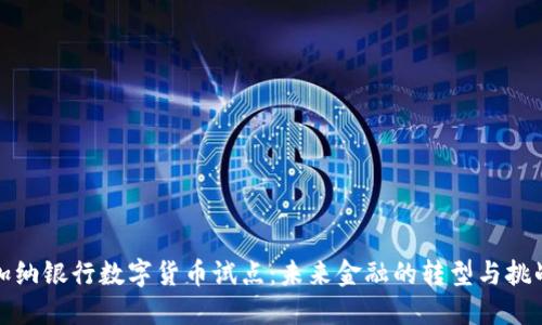 加纳银行数字货币试点：未来金融的转型与挑战
