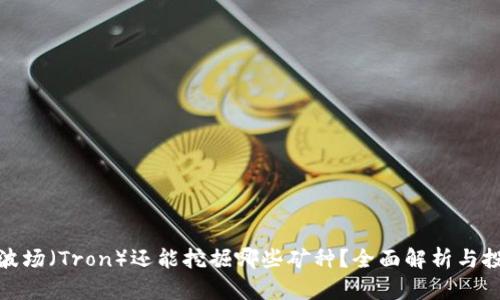 TP钱包波场（Tron）还能挖掘哪些矿种？全面解析与投资机会