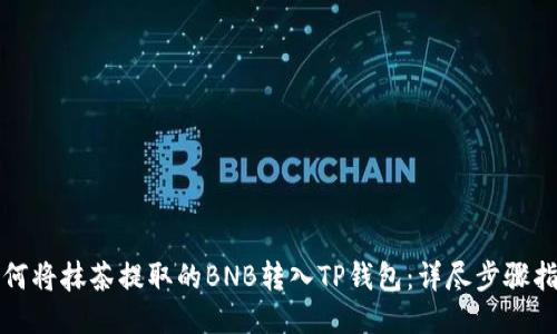 如何将抹茶提取的BNB转入TP钱包：详尽步骤指南
