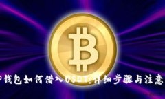 在TP钱包如何借入USDT：详细步骤与注意事项