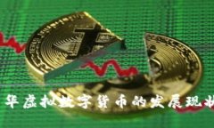 深入探索：中华虚拟数字货币的发展现状与未来