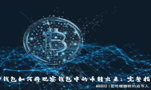 TP钱包如何将观察钱包中的币转出来: 完整指南