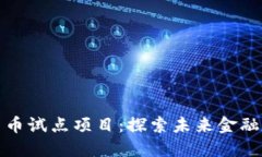 深圳数字货币试点项目：探索未来金融的先锋之