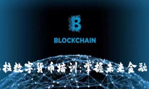 委内瑞拉数字货币培训：掌握未来金融的钥匙