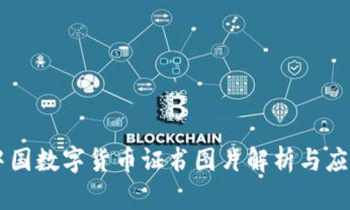 中国数字货币证书图片解析与应用