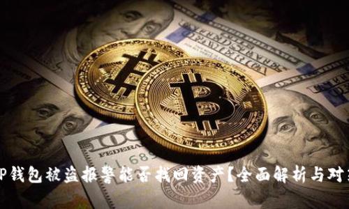 TP钱包被盗报警能否找回资产？全面解析与对策