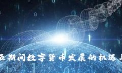 十四五期间数字货币发展的机遇与挑战