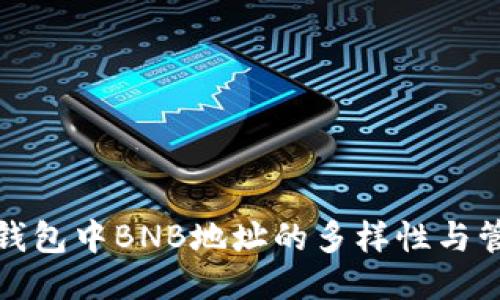 TP钱包中BNB地址的多样性与管理