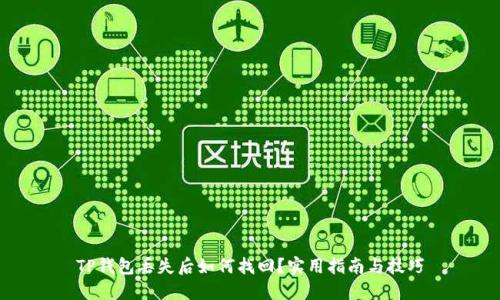 TP钱包丢失后如何找回？实用指南与技巧