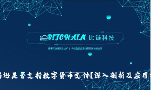 亚马逊是否支持数字货币支付？深入剖析及应用前景