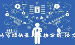 数字货币市场的最大板块分析：潜力与挑战