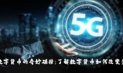 河马与数字货币的奇妙碰撞：了解数字货币如何