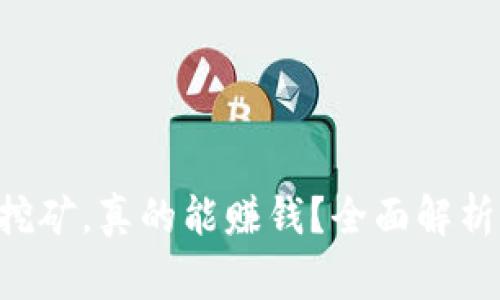 TP钱包存U挖矿，真的能赚钱？全面解析与风险警示