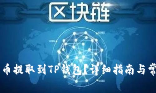 如何将Doge币提取到TP钱包？详细指南与常见问题解答