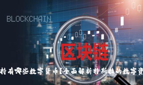 特斯拉持有哪些数字货币？全面解析特斯拉的数字资产投资