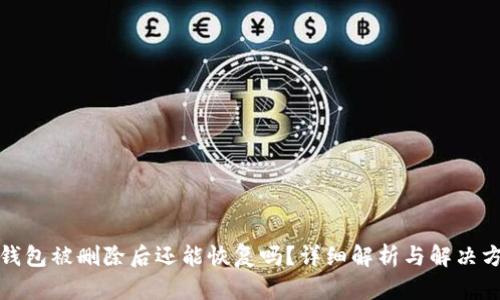 TP钱包被删除后还能恢复吗？详细解析与解决方案