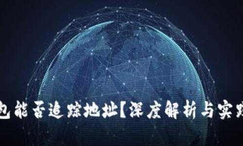 TP钱包能否追踪地址？深度解析与实践指南