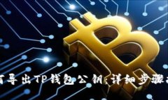 如何导出TP钱包公钥：详细步骤指南