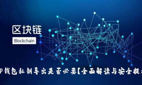 TP钱包私钥导出是否必要？全面解读与安全提示