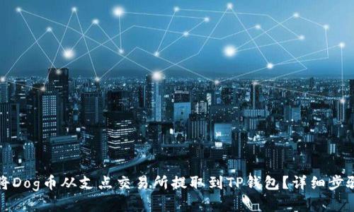 如何将Dog币从支点交易所提取到TP钱包？详细步骤解析