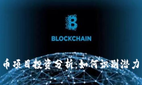 数字货币项目投资分析：如何识别潜力与风险