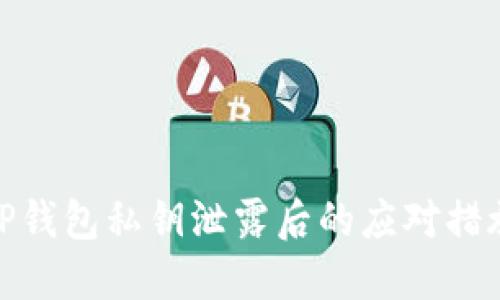 TP钱包私钥泄露后的应对措施