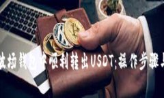 如何在TP波场钱包中顺利转出USDT：操作步骤与注