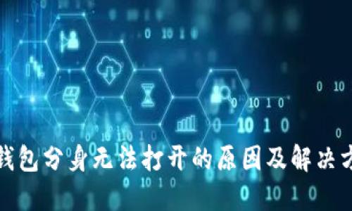 TP钱包分身无法打开的原因及解决方案