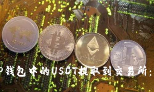 如何将TP钱包中的USDT提取到交易所：详细指南