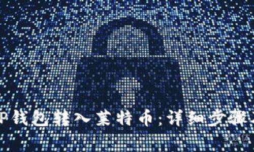 如何通过TP钱包转入莱特币：详细步骤及注意事项