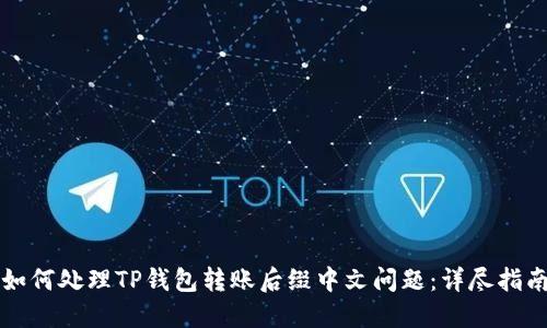 如何处理TP钱包转账后缀中文问题：详尽指南