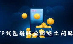 如何处理TP钱包转账后缀中文问题：详尽指南